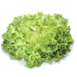 Salade Frisé