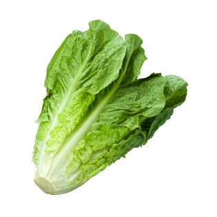 Salade Romaine