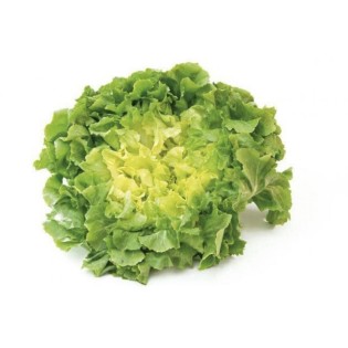 Salade Scarole