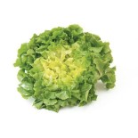 Salade Scarole