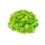 Salade Batavia