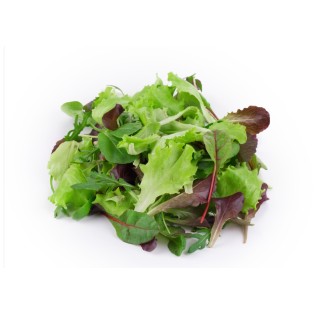 Salade Mesclun