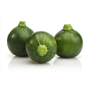 Courgette Ronde