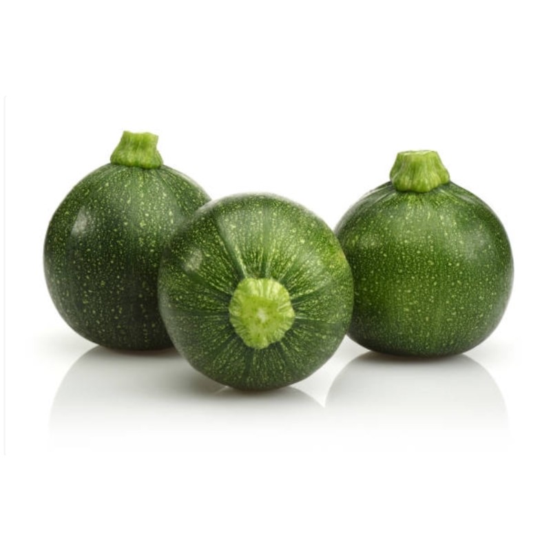 Courgette Ronde