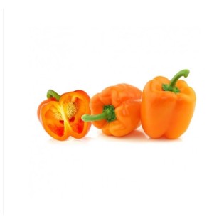Poivron Orange