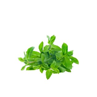 Menthe