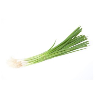 Cebette