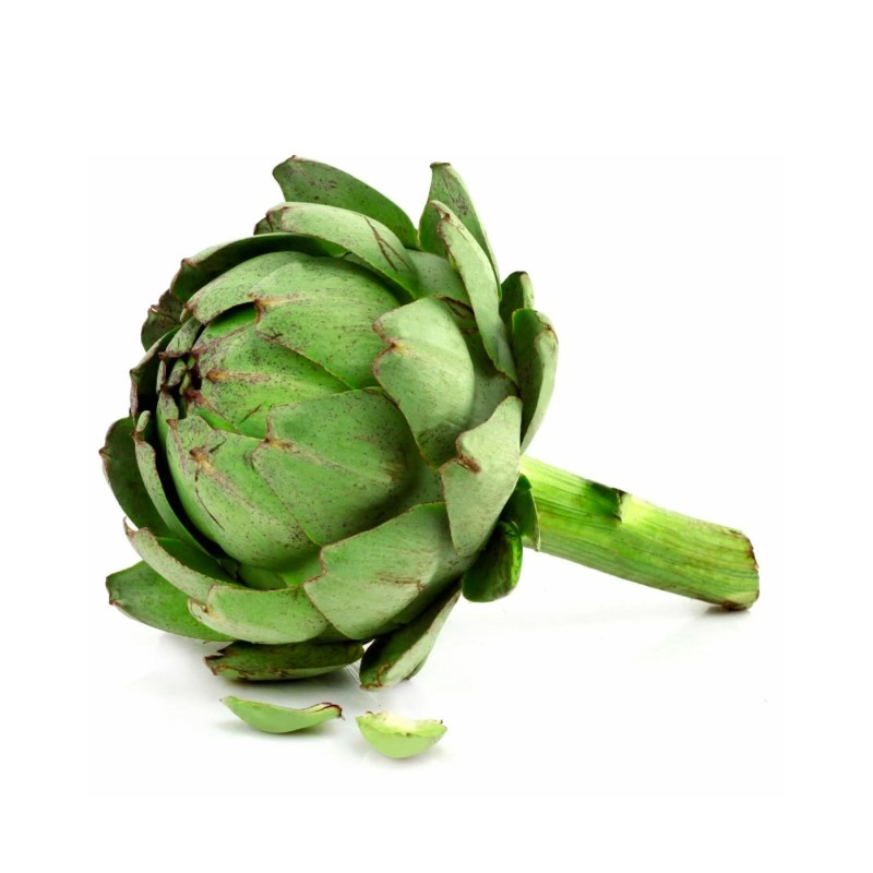Artichaut