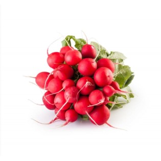 Radis Rouge