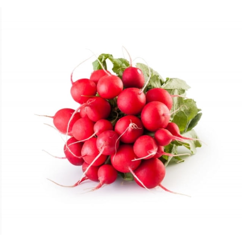 Radis Rouge