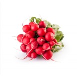 Radis Rouge
