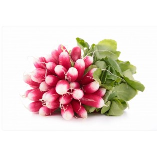 Radis Rose