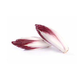 Endive Rouge