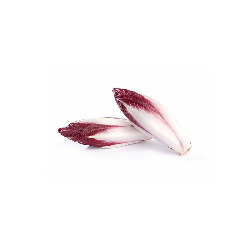Endive Rouge