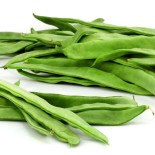 Coco plat