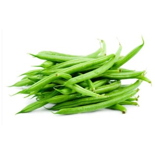 Haricot vert Mange Tout