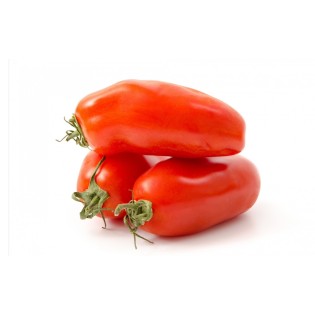 Tomate Torino