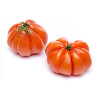 Tomate coeur de boeuf
