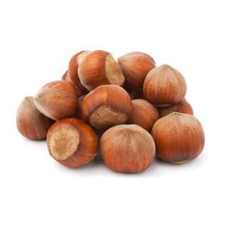 Noisette