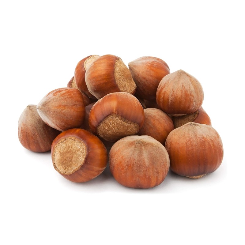 Noisette