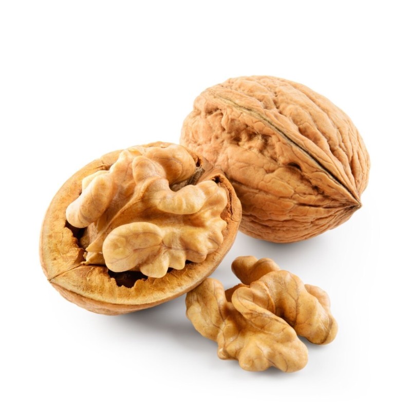 Noix fraîche