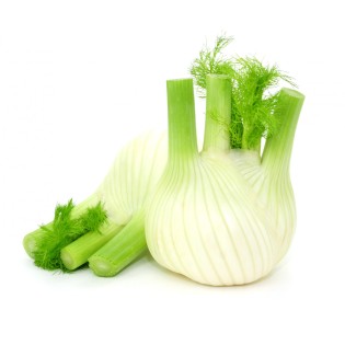 Fenouil Bio