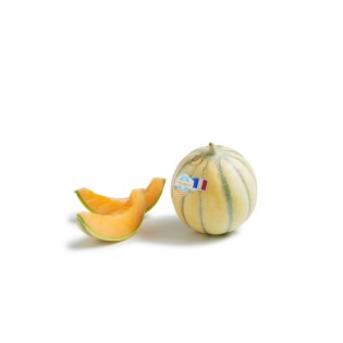 Melon Philibon