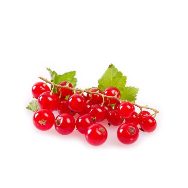 Groseille