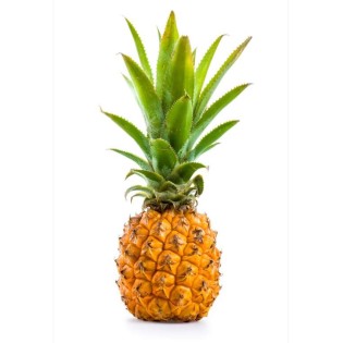 Ananas Victoria