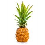 Ananas Victoria