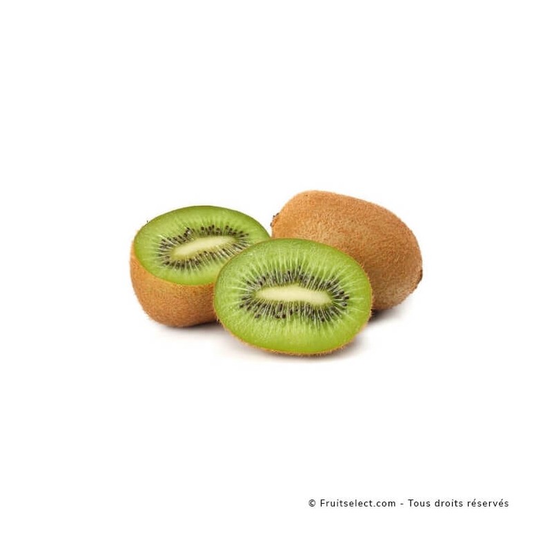 Kiwi Bio