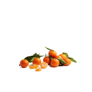 Clémentine Portugal