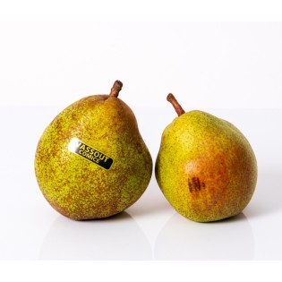 Poire Comice Vassous
