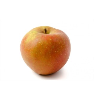 Pomme Boskop