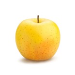 Pomme Golden Rose