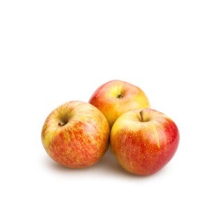 Pomme Reine des Reinette