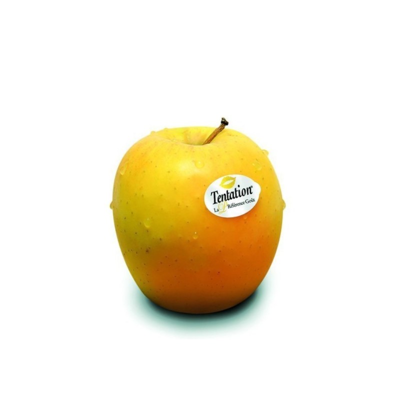 Pomme Tentation