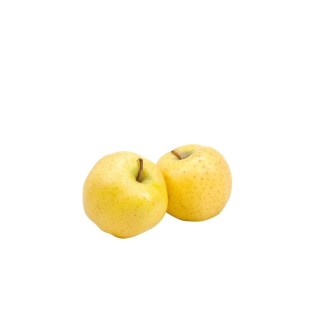 Pomme Chanteclair Bio