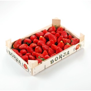 Fraise Espagne 1kg