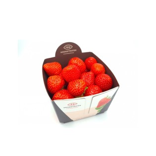 Fraise Belge 500gr