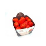 Fraise Belge 500gr