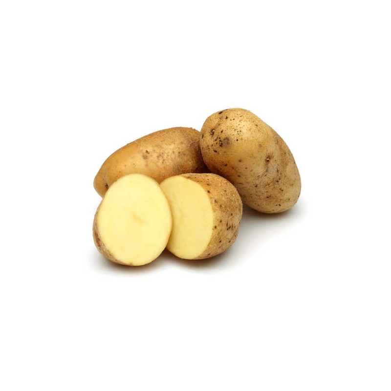 Pomme de terre Bio