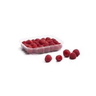 Lot de 2 barquettes de framboises