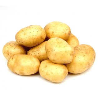 Pomme de terre Charlotte sac de 2KG