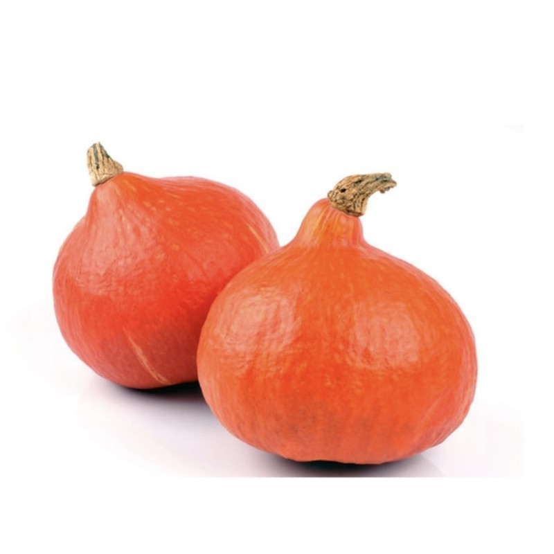 Potimarron