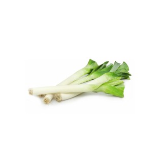 Poireaux Bio