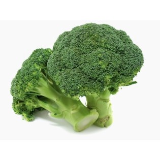Brocolis Bio