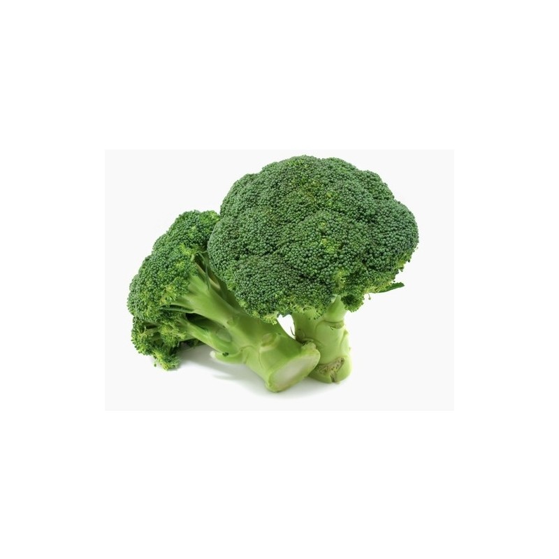 Brocolis Bio