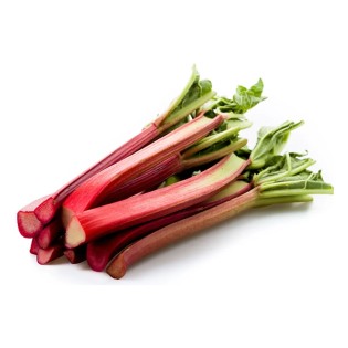Rhubarbe en botte
