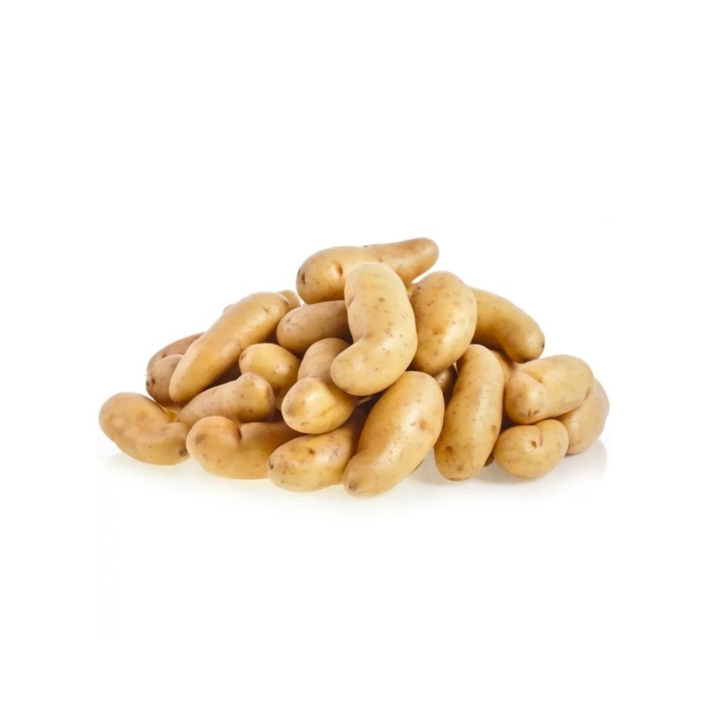 Pomme de terre Rate